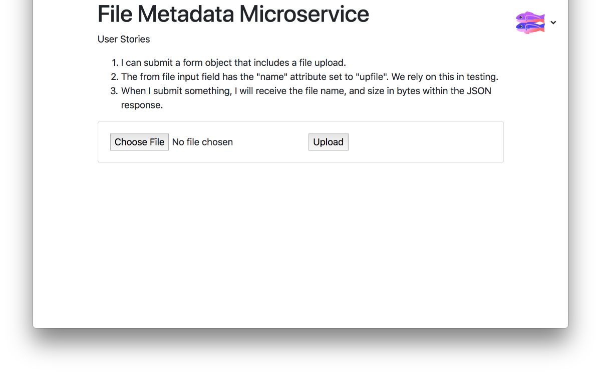 File Metadata API
